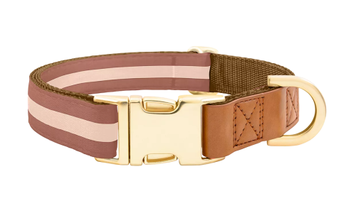 Collier chien marron avec boucle métal dorée pour gravure du nom, 27-40 cm x 1,5 cm, avec anneau en D robuste.