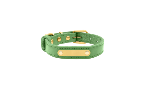 Collier chien en cuir véritable vert avec plaque ID dorée pour gravure du nom et détails, 62-66 cm x 3 cm.