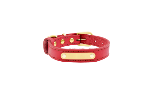 Collier chien en cuir véritable rouge avec plaque ID dorée pour gravure du nom et détails, 62-66 cm x 3 cm.