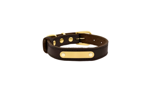 Collier chien en cuir véritable marron avec plaque ID dorée pour gravure du nom et détails, 62-66 cm x 3 cm.