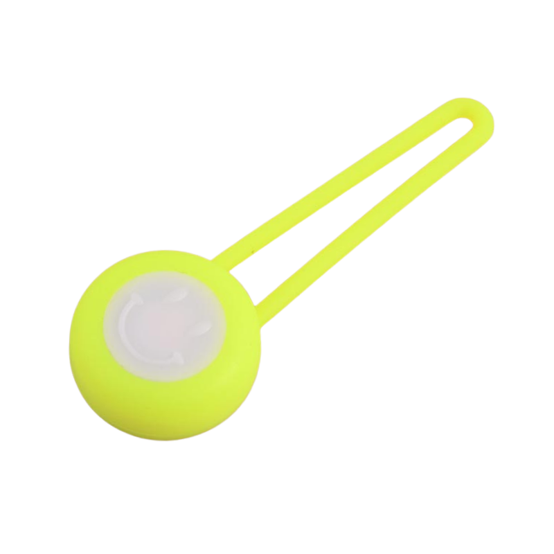 Médaillon LED détachable pour Chien avec lampe de Collier Lumineuse