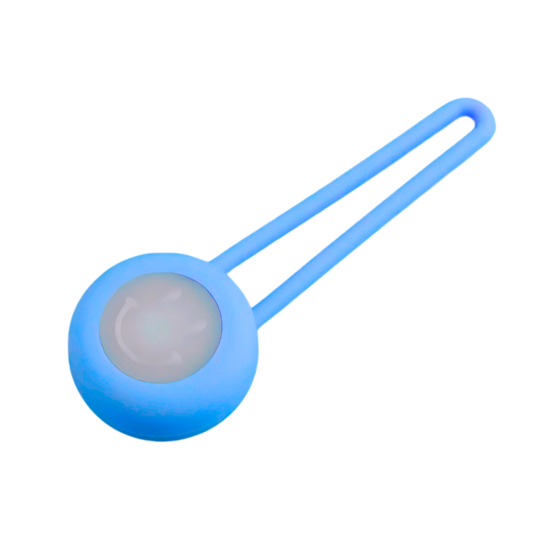 Médaillon LED détachable pour Chien avec lampe de Collier Lumineuse