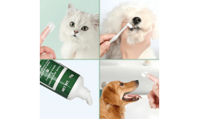Set Complet de Soins bucco-dentaires pour Chiens : brosse à dent, 2 brosses à doigts et dentifrice à la vanille
