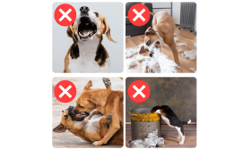 Muselière réglable Réfléchissante pour Chien - respirante et confortable