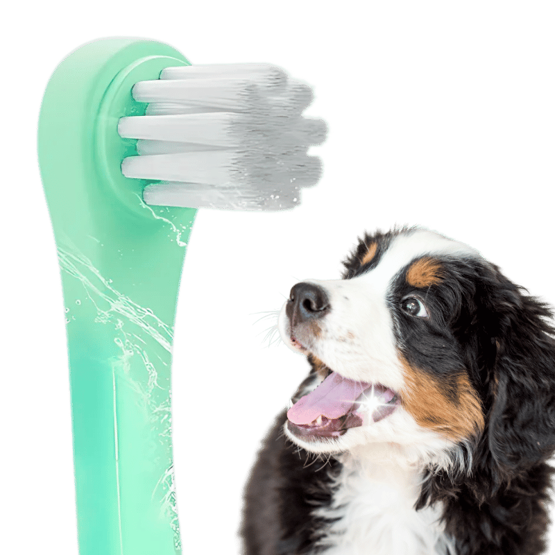 Brosse à dents Gentle Clean pour chiens et chats avec poils souples en nylon