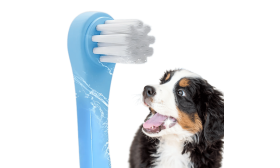 Brosse à dents Gentle Clean pour chiens et chats avec poils souples en nylon Brosse à dents Gentle Clean pour chiens et chats avec poils souples en nylon