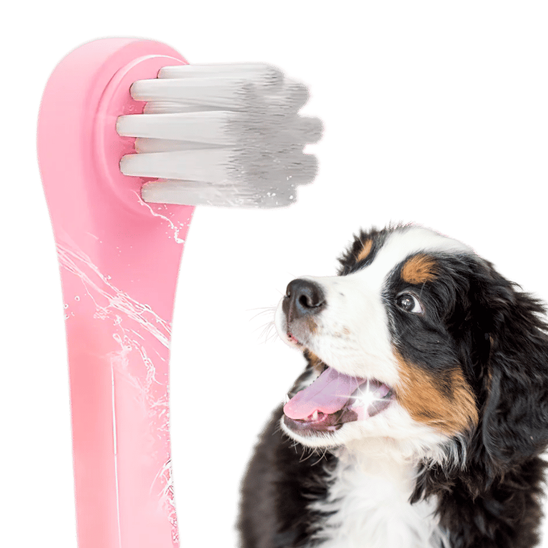 Brosse à dents Gentle Clean pour chiens et chats avec poils souples en nylon