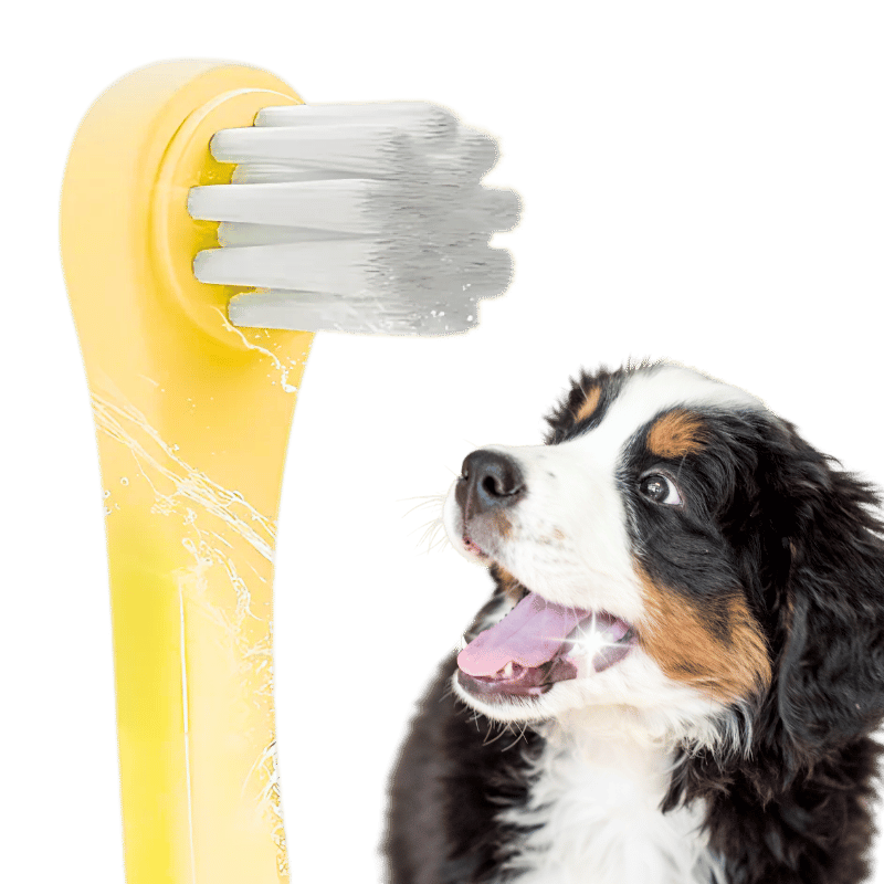 Brosse à dents Gentle Clean pour chiens et chats avec poils souples en nylon