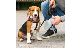 Gourde Pliable pour Chien 550 ml – Gamelle de Voyage en Silicone Alimentaire pour Animaux