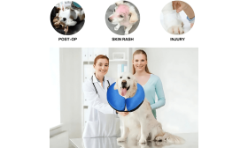 Collier Gonflable pour Chien - Collier de Récupération Réglable pour Animaux de Compagnie Collier Gonflable pour Chien - Collier de Récupération Réglable pour Animaux de Compagnie