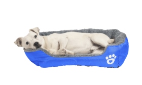 Lit doux pour Chien