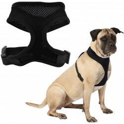 Chien portant un harnais chien en mesh noir, léger, attaché à une laisse, montrant l’ajustement et le confort.