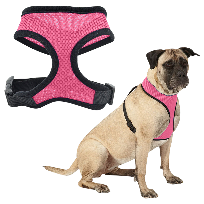 Harnais pour chien