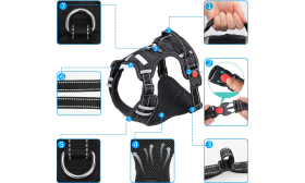 Détail d’un harnais anti-traction, boucles solides, coutures réfléchissantes et maille respirante.