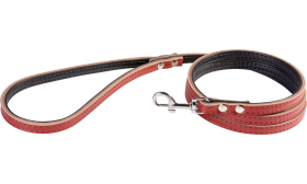 Laisse chien en cuir rouge, 1,5 m, taille petite, couture solide, fermoir durable, intérieur rembourré en cuir véritable.