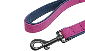 Laisse en velours rose de luxe pour chien, 120 cm, confortable et facile à tenir, avec fermoir métallique robuste.