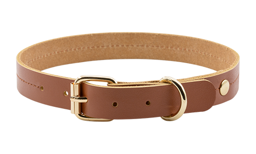 Collier pour Chien en Cuir véritable Collier chien en cuir noir et tan, 43-53 cm x 3,2 cm, boucle dorée et anneau en D, durable et élégant.