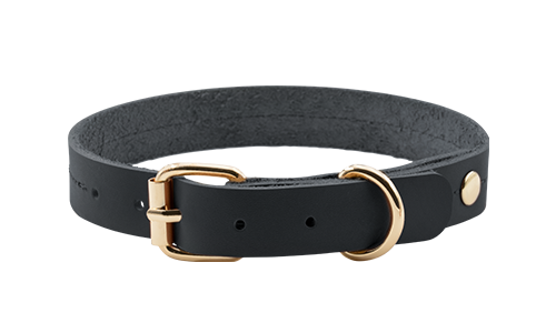Collier pour Chien en Cuir véritable Collier chien en cuir marron et tan, 34-43 cm x 2,7 cm, boucle dorée et anneau en D, durable et élégant.