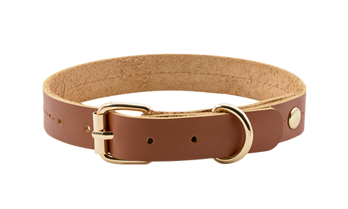 Collier pour Chien en Cuir véritable Collier chien en cuir marron et tan, 43-53 cm x 3,2 cm, boucle dorée et anneau en D, durable et élégant.