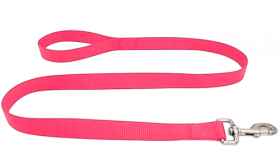 Laisse chien en nylon bleu durable 120 cm, facile à nettoyer, matériau résistant et fermoir argenté sécurisé.