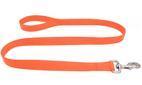 Laisse pour Chien Nylon Robuste Laisse chien en nylon bleu durable 120 cm, facile à nettoyer, avec poignée confortable et fermoir argenté sécurisé.