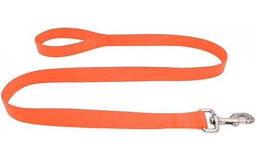 Laisse pour Chien Nylon Robuste Laisse chien en nylon bleu durable 120 cm, facile à nettoyer, avec poignée confortable et fermoir argenté sécurisé.