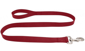 Laisse chien en nylon orange durable 120 cm, facile à nettoyer, matériau résistant et fermoir argenté sécurisé.