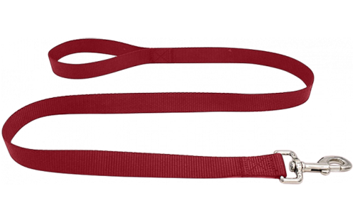 Laisse pour Chien Nylon Robuste Laisse chien en nylon orange durable 120 cm, facile à nettoyer, matériau résistant et fermoir argenté sécurisé.