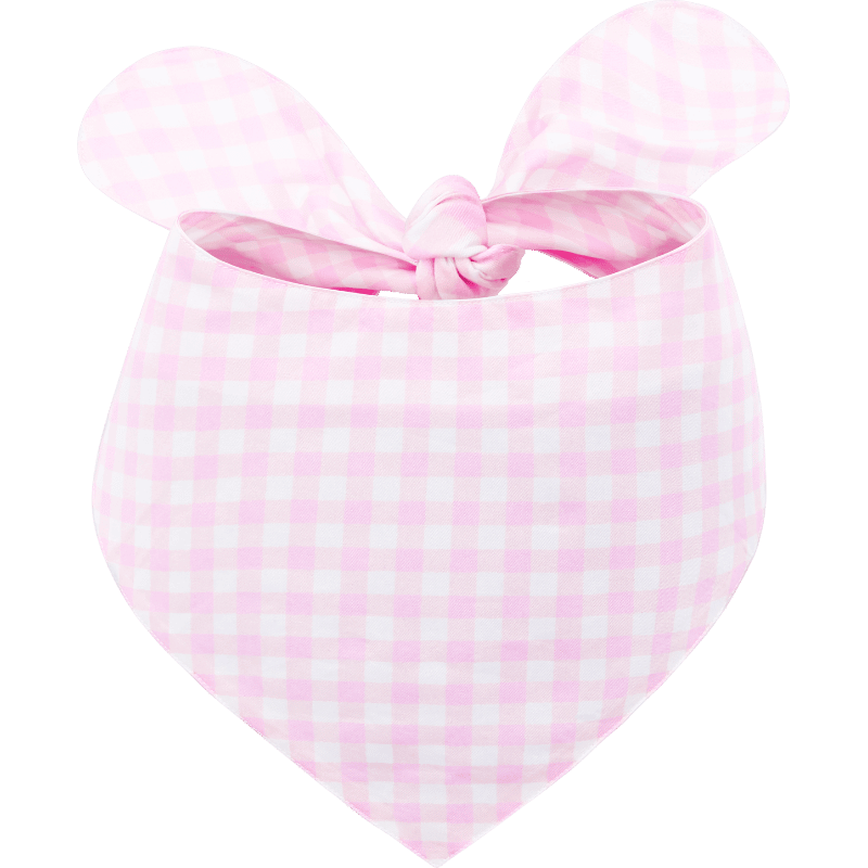 Bandana élégant pour Chien
