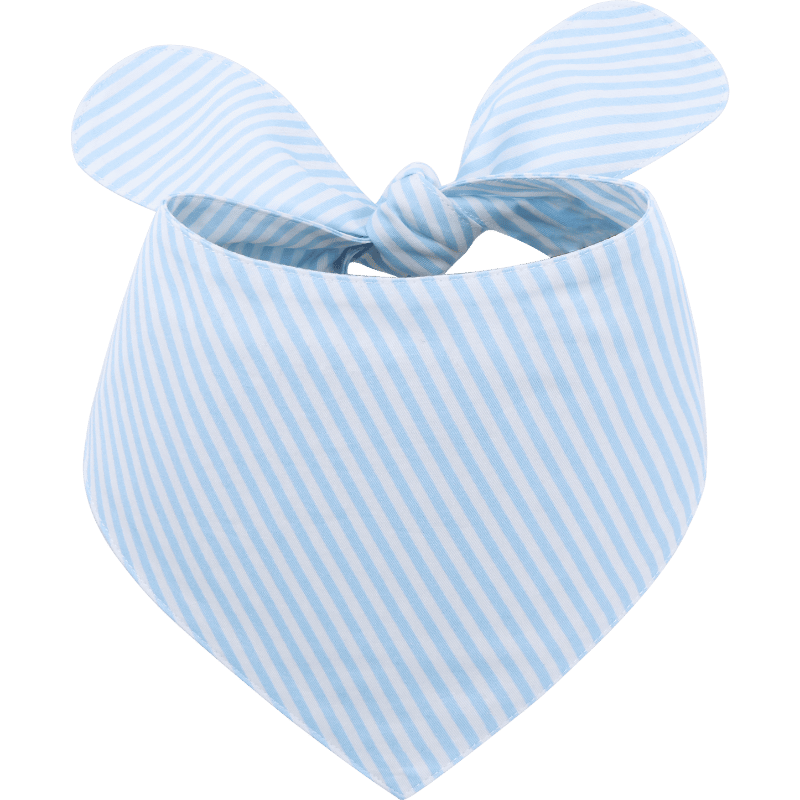 Bandana élégant pour Chien