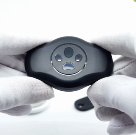 Protection AirTag pour Collier pour Chien