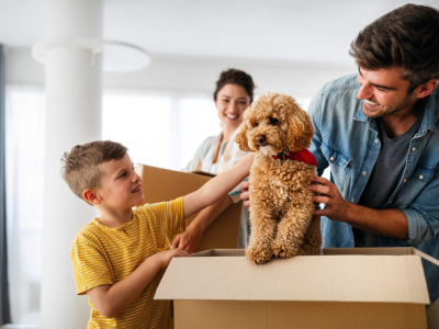 Adopter un chien : Tout ce que vous devez savoir pour bien accueillir votre chio